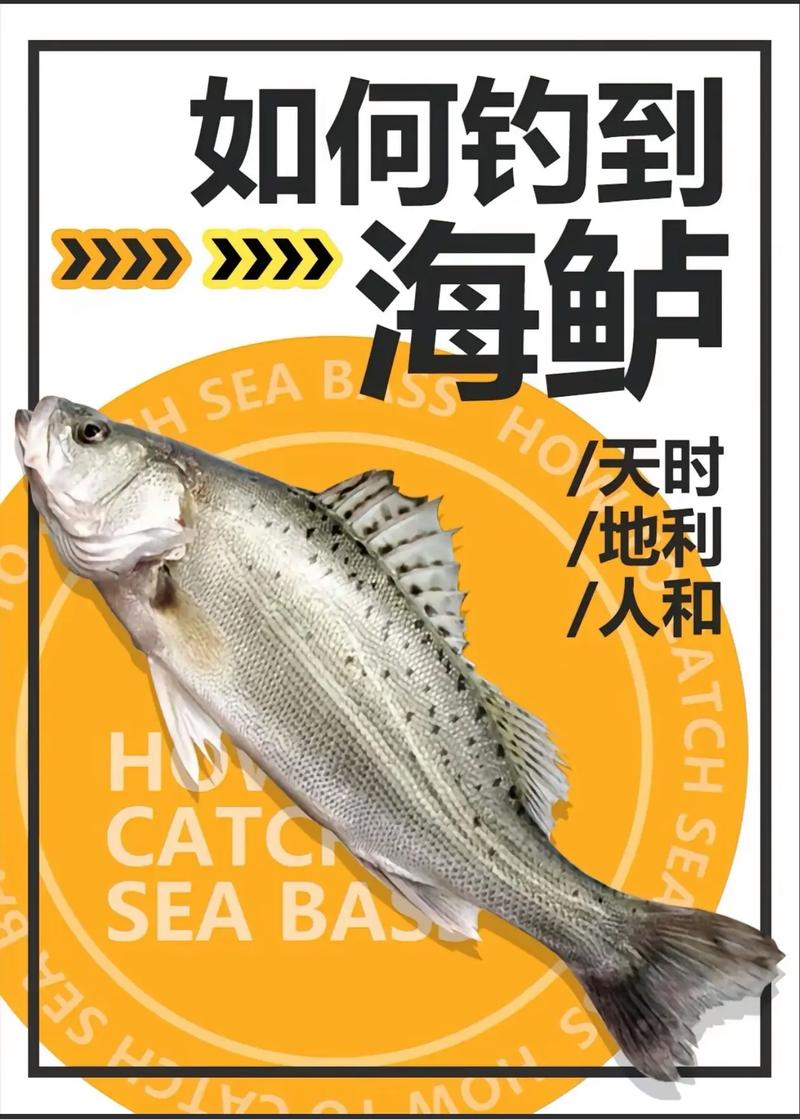看完這篇史上最強的海釣鱸魚攻略_看完這篇史上最強的海釣鱸魚攻略_看完這篇史上最強的海釣鱸魚攻略