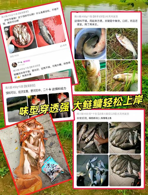 釣鰱鳙有何竅門？舊餌料竟更好用，效果提升的秘密在這