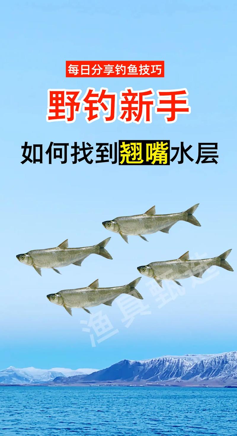 手竿翹嘴魚的釣法_翹嘴鲌釣點選擇_翹嘴鲌釣時選擇