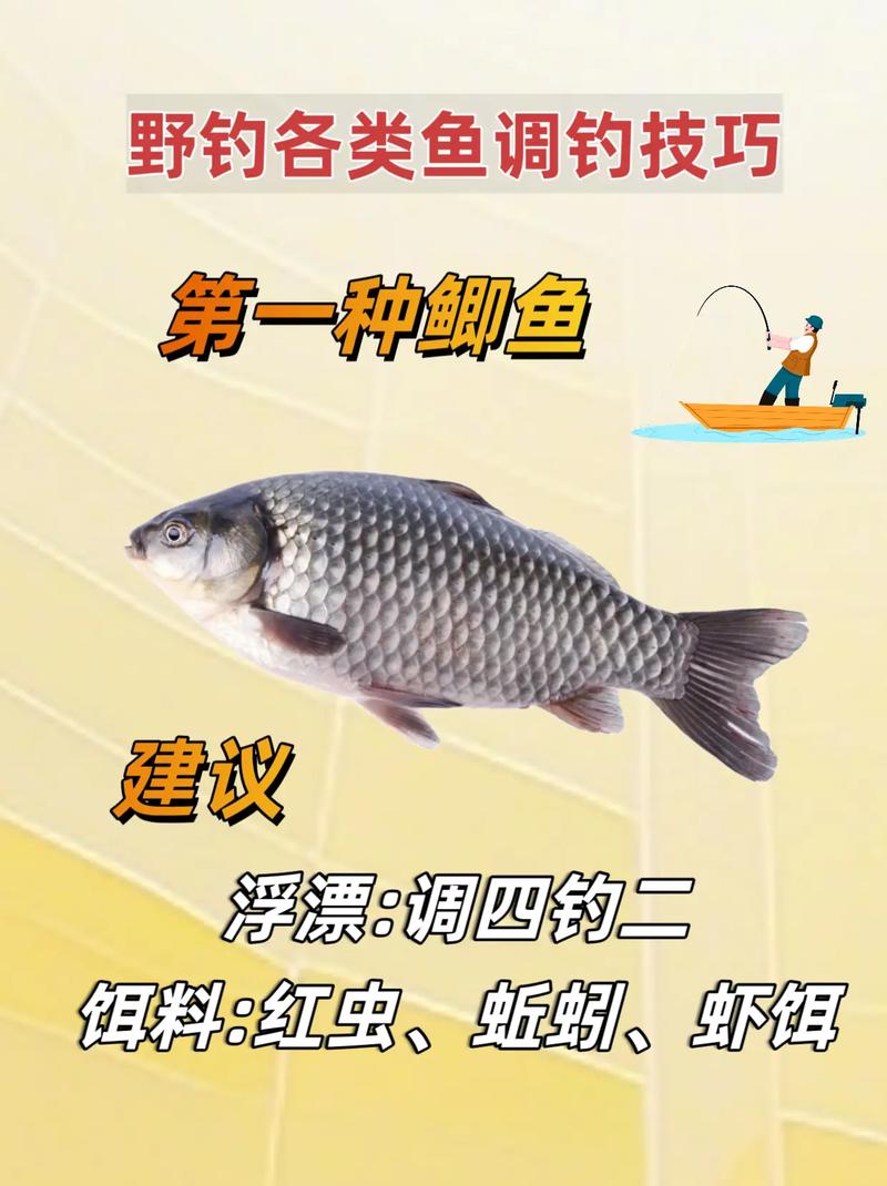 野釣視頻大全高清視頻_野釣視頻的釣魚視頻_野釣視頻大全高清
