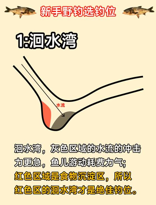 初夏釣魚技巧窩子_水庫釣鯉魚早晚釣近中午釣遠_初夏水庫釣鯉魚技巧