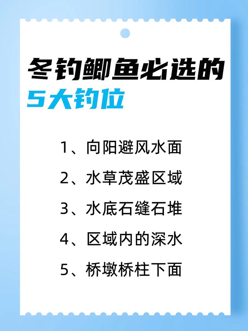 冬季釣魚釣位選擇_冬季釣魚餌料搭配技巧_野釣魚餌配方