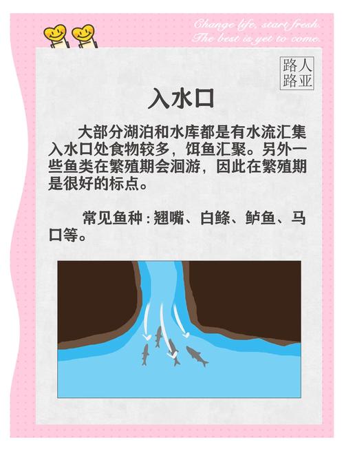 水庫漲水釣魚技巧_山東釣友潮汐出釣_水庫放水釣魚技巧