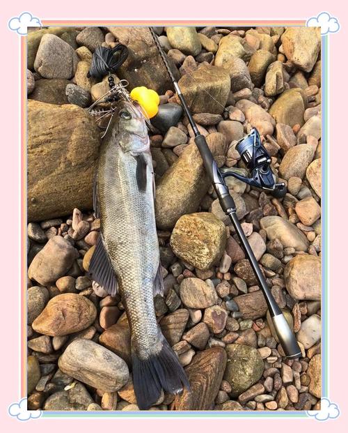 正確鱸魚海釣釣法視頻_海釣鱸魚的正確釣法_正確鱸魚海釣釣法大全