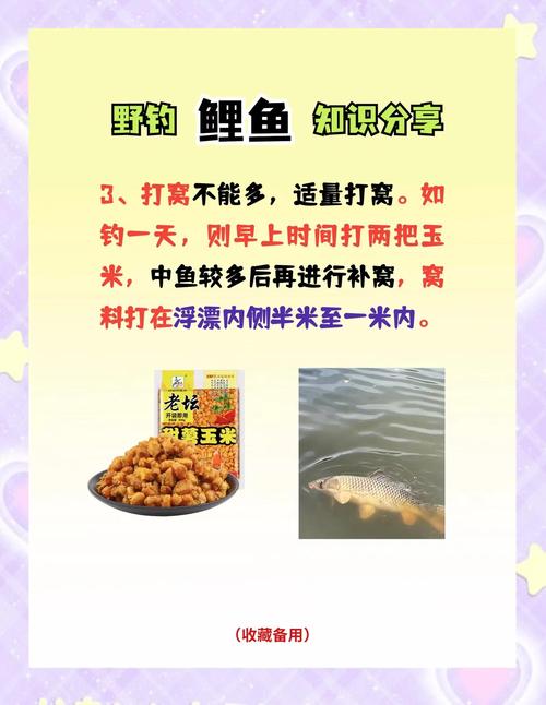 誘鯉魚最好的餌料_如何誘釣鯉魚_淺談鯉魚臺釣誘釣結合技巧必看