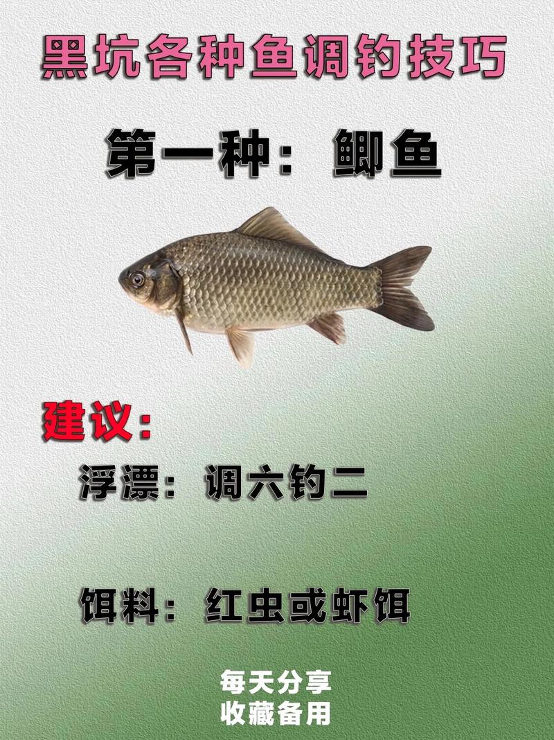 春季釣魚技巧_野外垂釣鯽魚_藏魚釣點