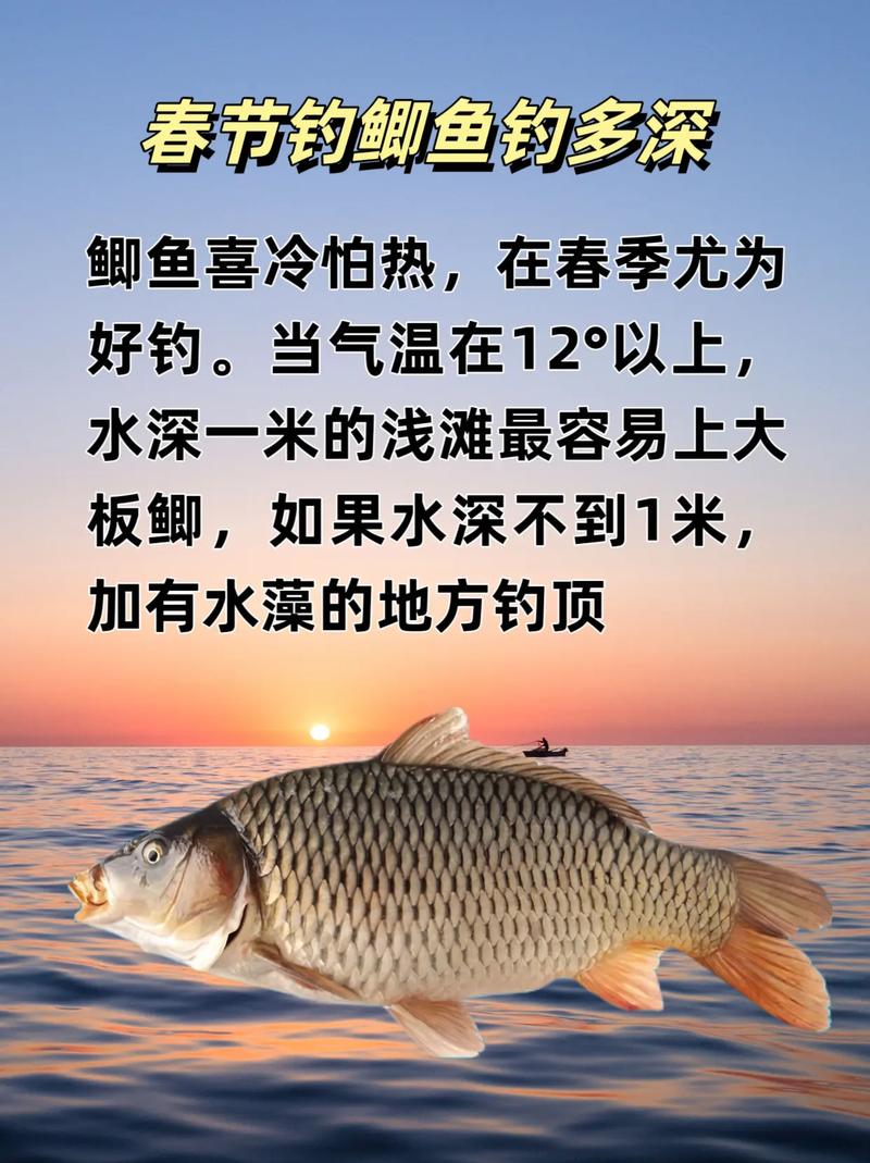 春季野釣鯽魚方法_野外垂釣鯽魚技巧_野釣鯽魚技巧