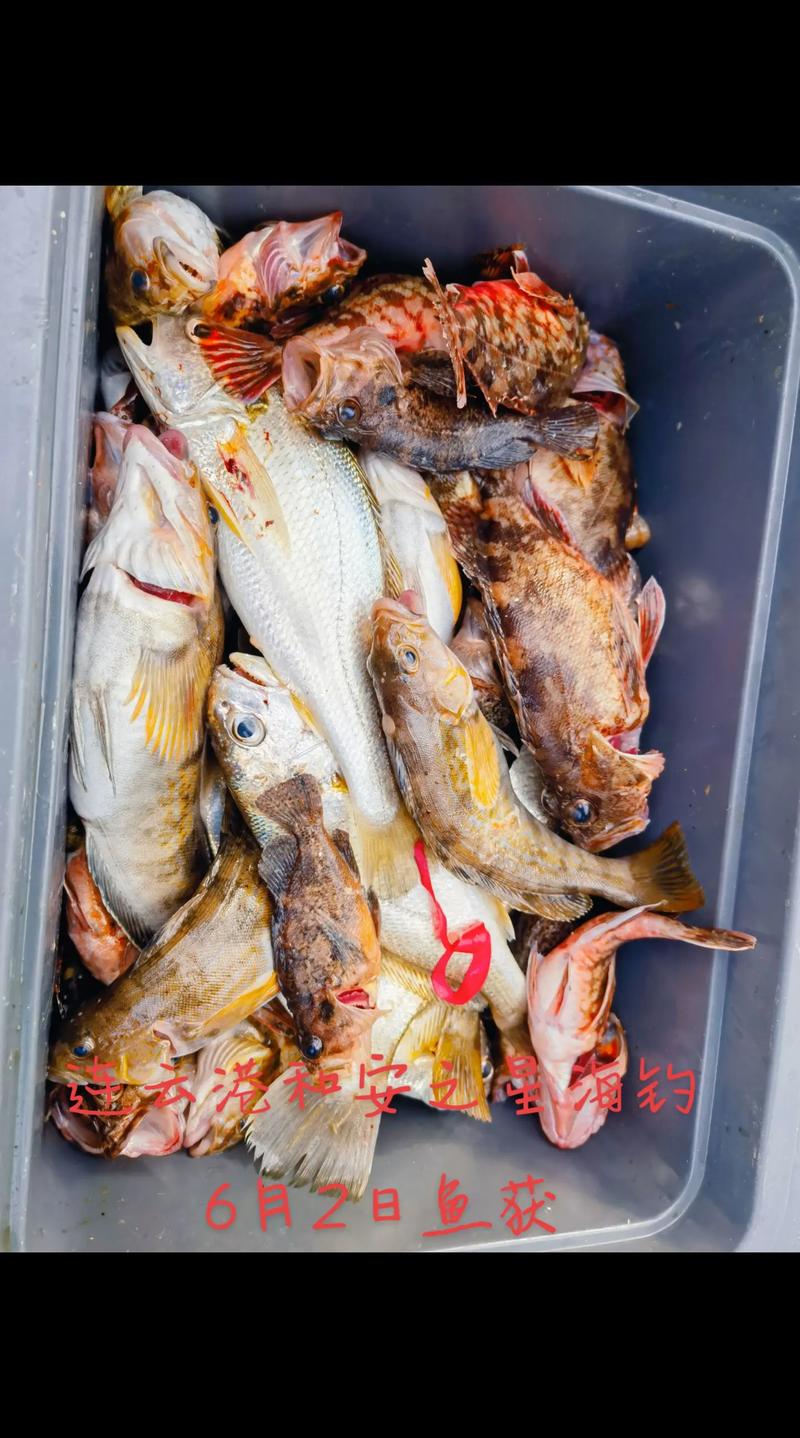 夏季海釣技巧_海釣鱸魚最佳時間_七月海釣黃金季節