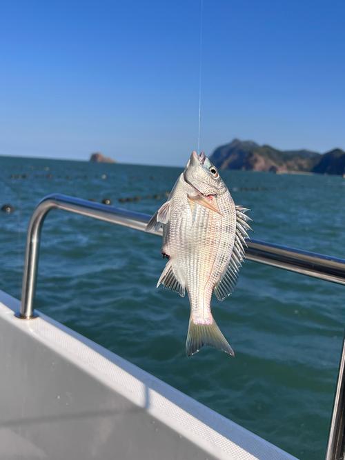 七月海釣黃金季節_海釣鱸魚最佳時間_夏季海釣技巧
