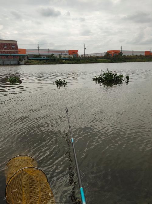 太倉釣魚50一天地址_繼續求個太倉的好釣點_太倉釣點分享