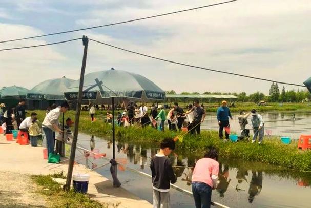 太倉釣魚50一天地址_繼續求個太倉的好釣點_太倉釣點分享