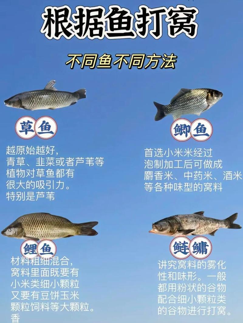 野釣打窩技巧_疫情防控與經濟建設發展_野外釣魚打底窩絕招