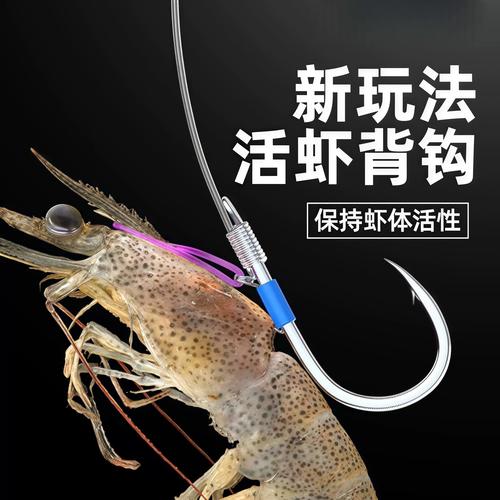如何掛活蝦釣鱸魚_用蝦釣鱸魚的掛鉤方法_海釣鱸魚掛活蝦方法