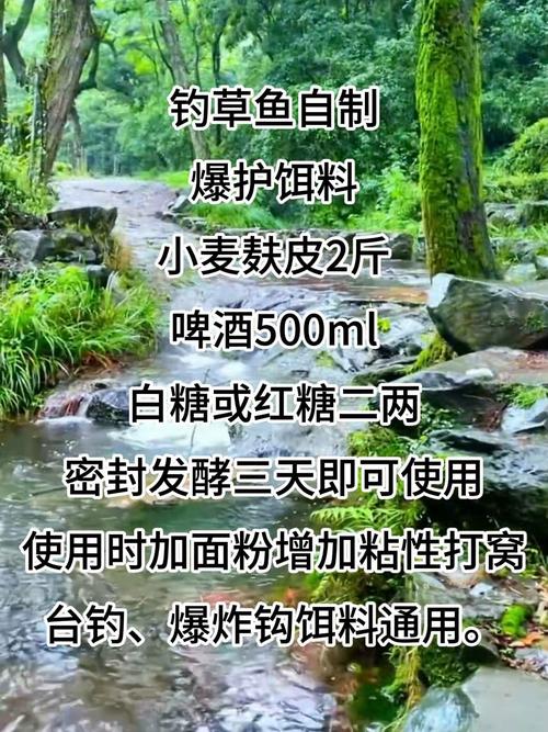釣草魚不用愁！這些簡單易上手的餌料制作技巧請收好
