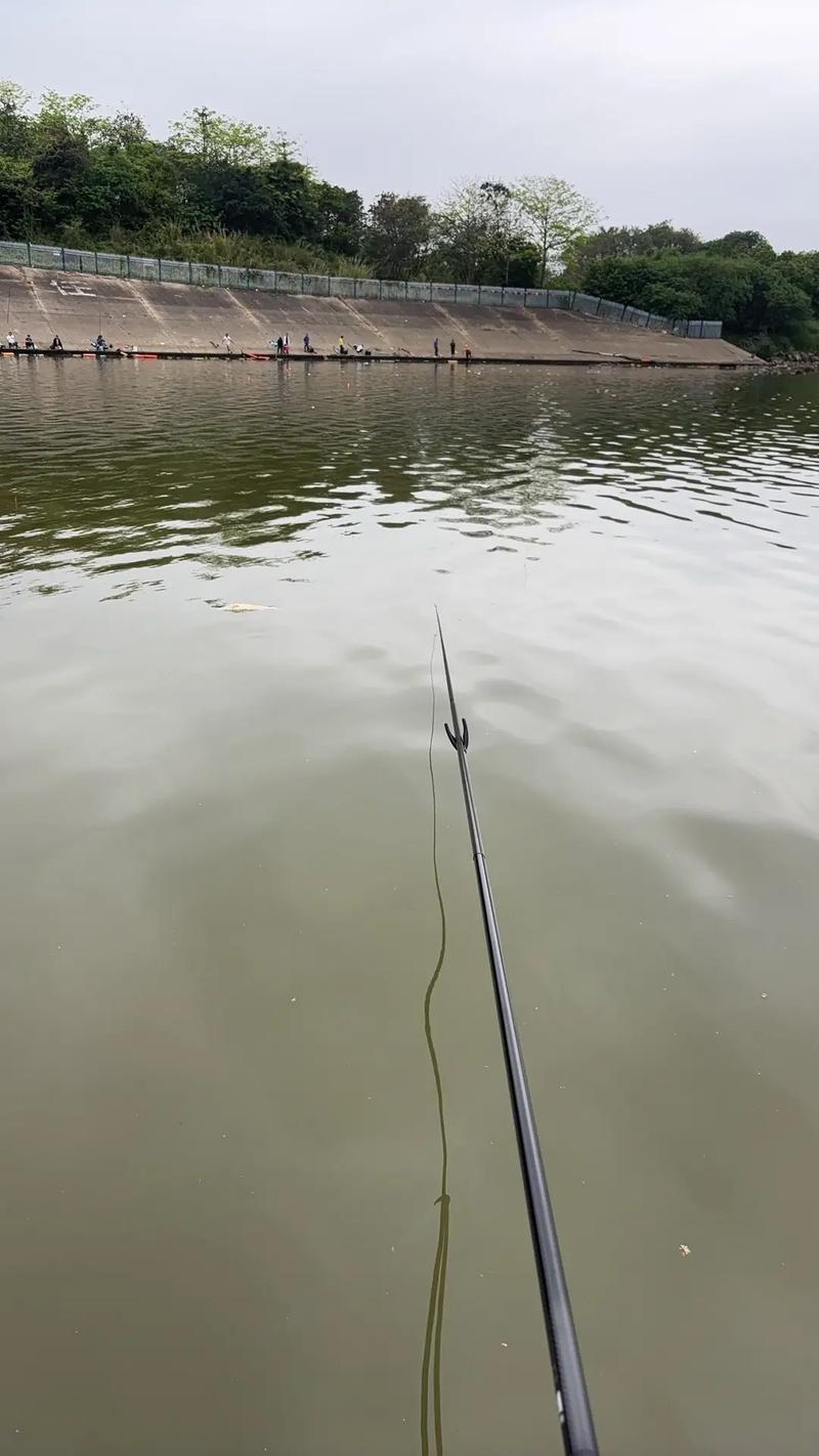 潼湖鎮東江釣魚_東江釣魚場_潼湖東江釣點