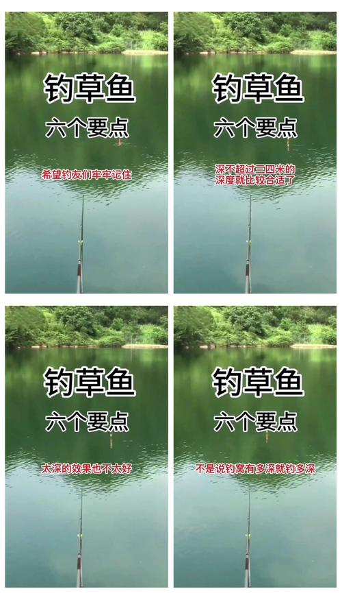 中釣魚(轉)草魚釣法經典_鮮玉米雞飼料釣草魚_草魚浮釣技巧
