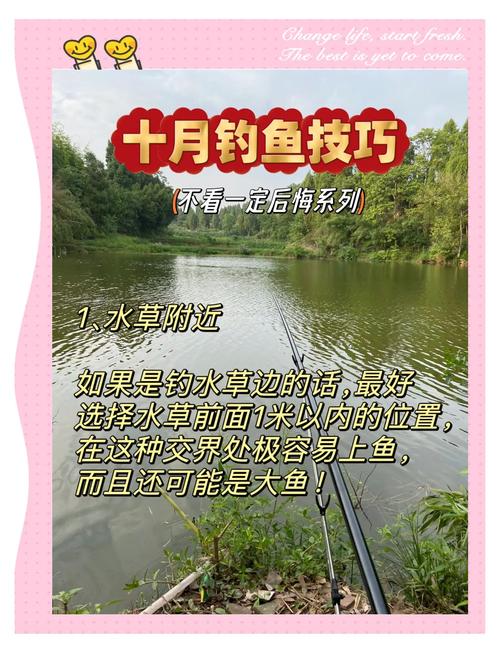 釣魚秋季野河技巧和方法_秋季野河釣魚口訣_秋季野河釣魚技巧