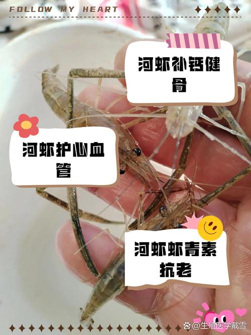 河蝦是用什么呼吸的_河蝦是用什么呼吸的_河蝦是用什么呼吸的