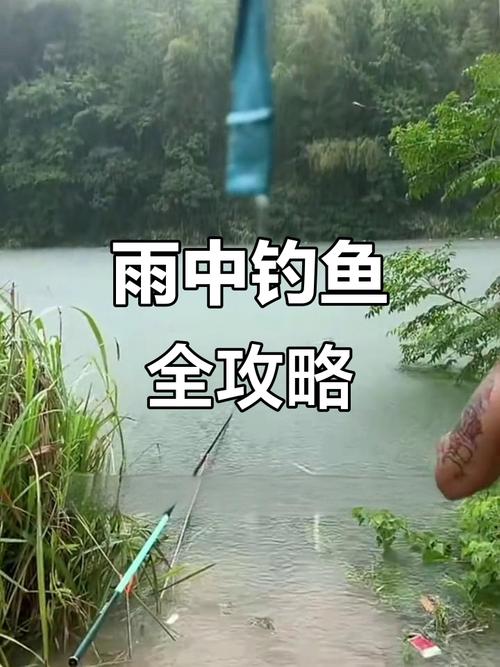 淺談秋季雨天垂釣技巧必看_淺談秋季雨天垂釣必看技巧視頻_淺談秋季雨天垂釣必看技巧論文