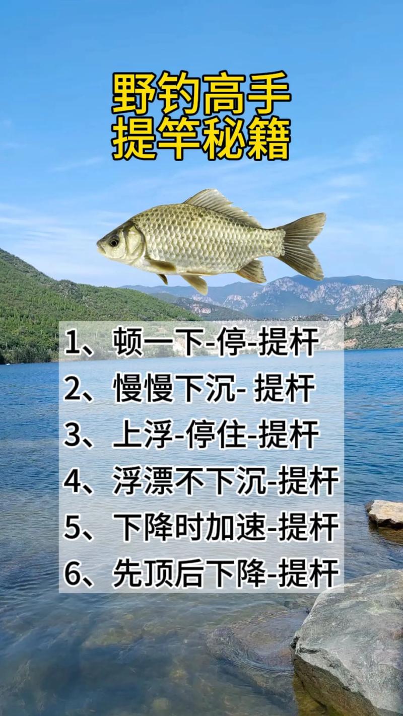 釣魚視頻技巧手桿圖解_手桿釣魚技巧視頻_釣魚視頻技巧手桿教程
