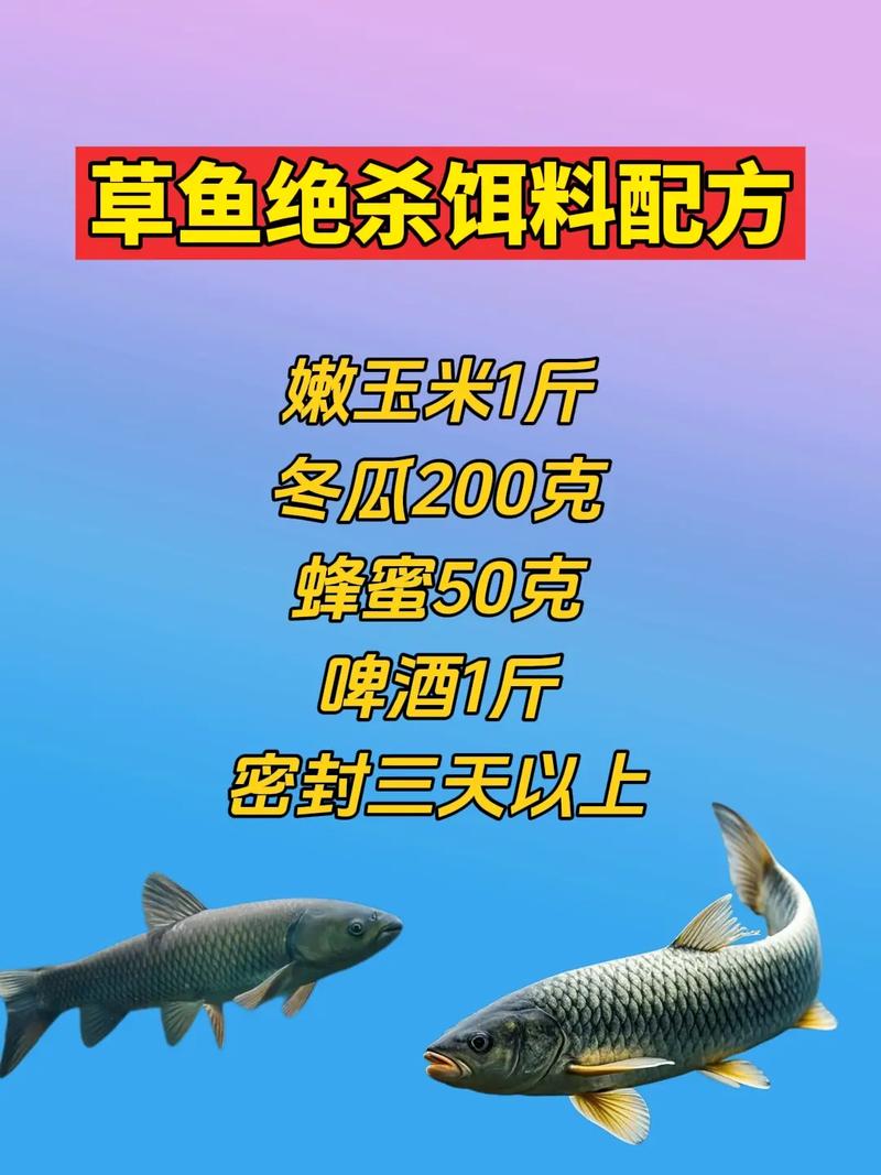 釣魚大師鯉魚草魚技巧_草魚餌料自制釣法_臭麥餌料配方
