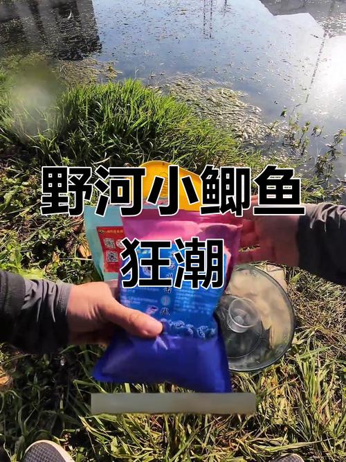 鯽魚窗口期小連竿-河北、天津釣魚網_天津野釣鯽魚_河北釣鯽魚用什么餌料