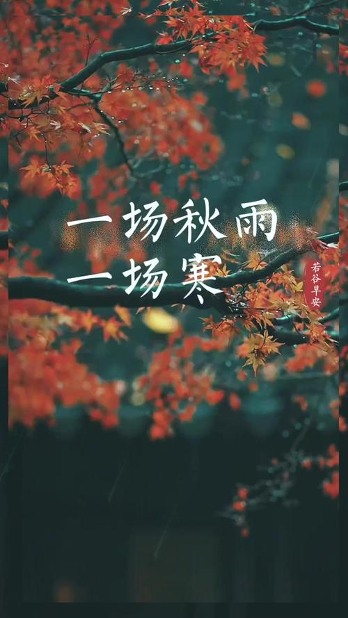 一場秋雨一場寒十場秋雨穿上棉_十場秋雨穿上棉_秋雨棉棉是什么意思