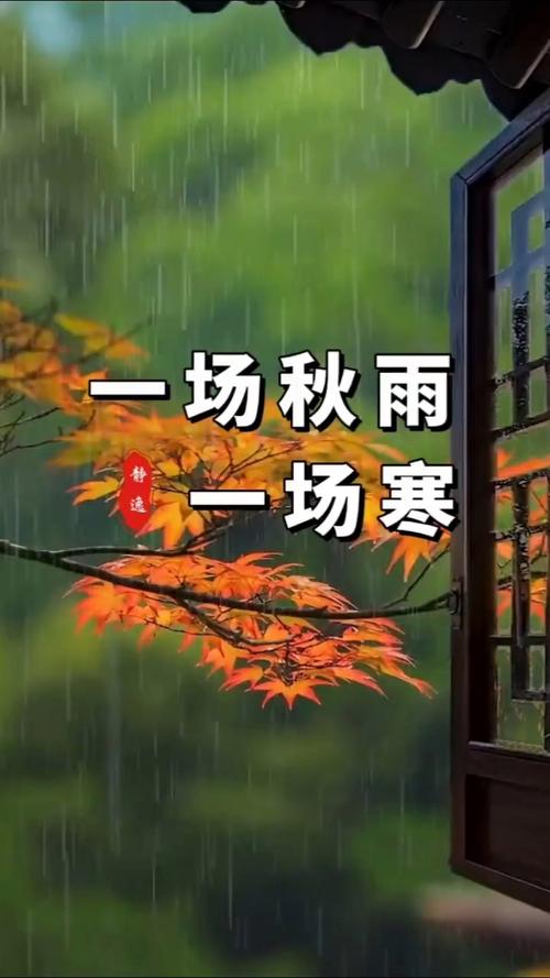十場秋雨穿上棉_秋雨棉棉是什么意思_一場秋雨一場寒十場秋雨穿上棉