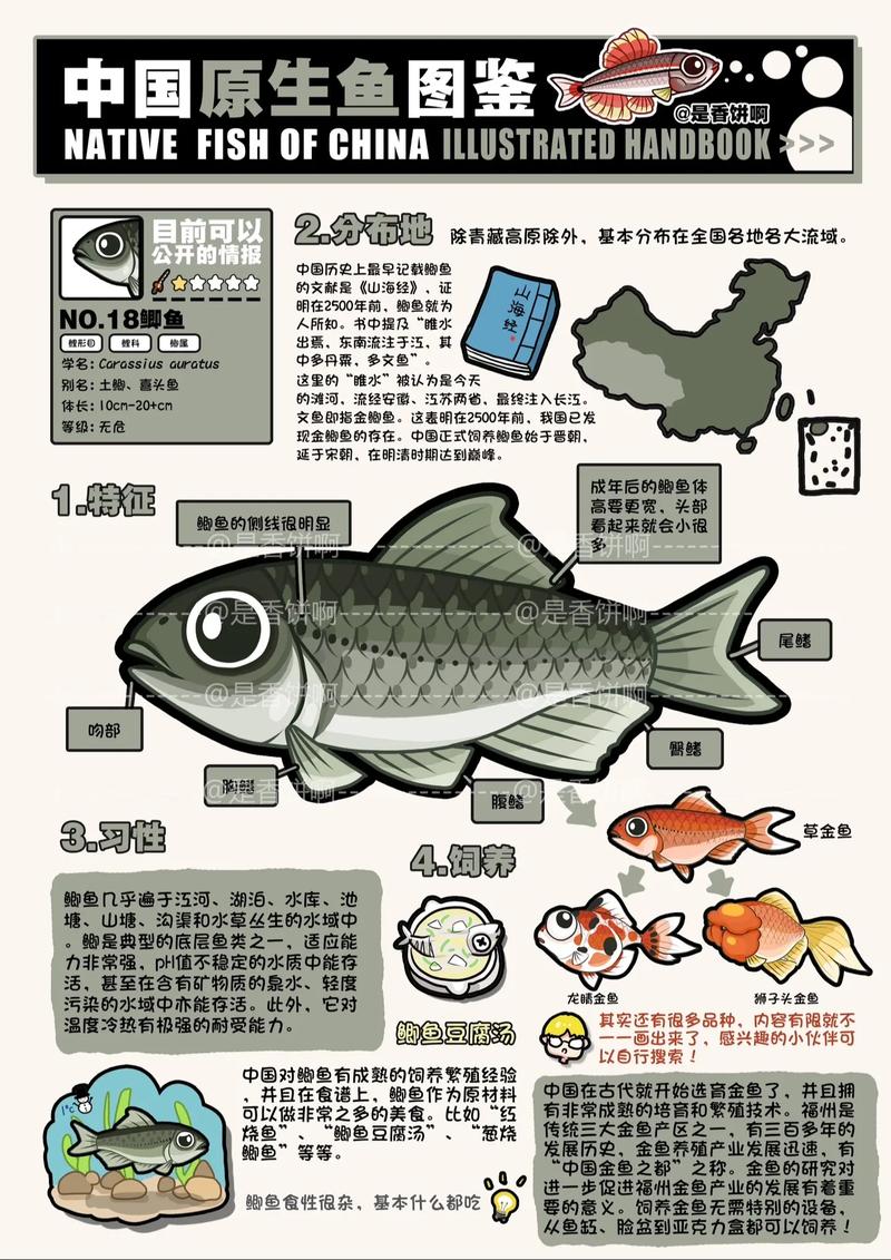 鯽魚的特性_鯽魚的特點和生活特征_鯽魚的生活習性介紹helliphellip