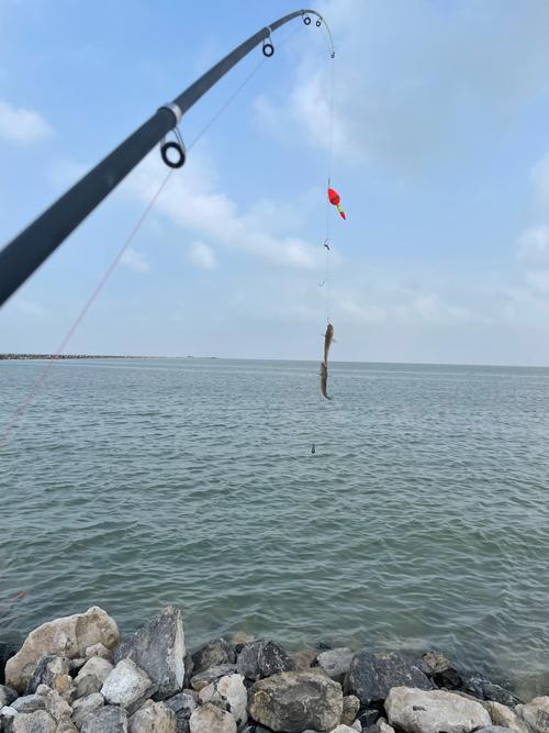 去海邊釣魚什么時間段最好_海邊釣魚的時間_去海邊釣魚什么時候最多魚