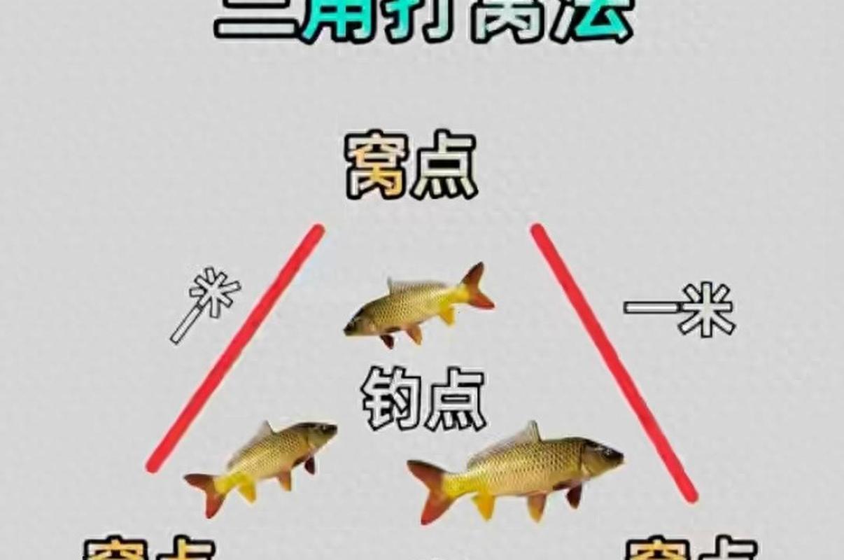 夏季野釣鯉魚技巧_野釣鯉魚打窩方法_野釣打窩怎么打好