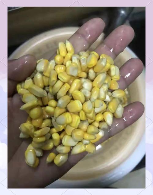 排名第一的草魚餌料_公認餌料草魚全國有多少只_全國公認第一草魚餌料
