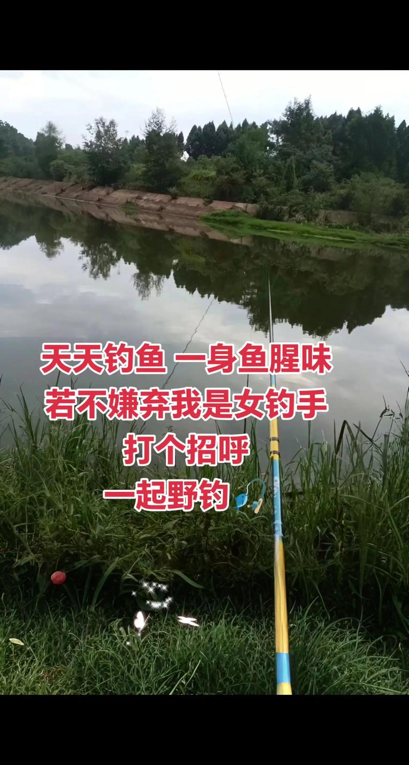 臨沂沂河哪里釣魚好_沂河釣點_沂蒙山釣魚網