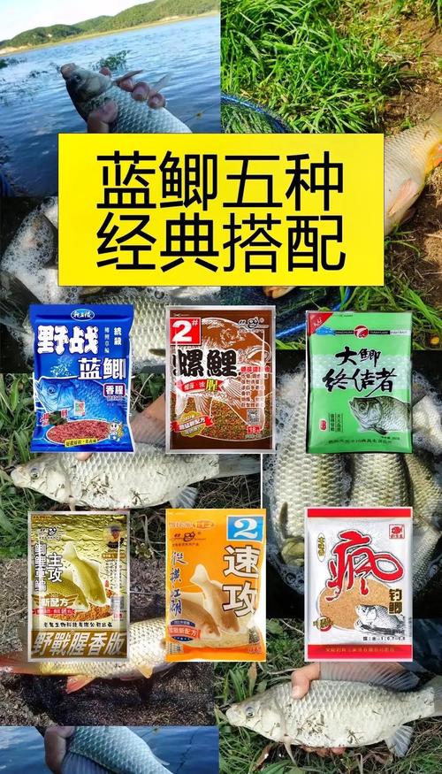 野戰藍鯽優缺點分析_野釣鯽魚餌料排名_鯽魚餌料搭配排行榜第一名?
