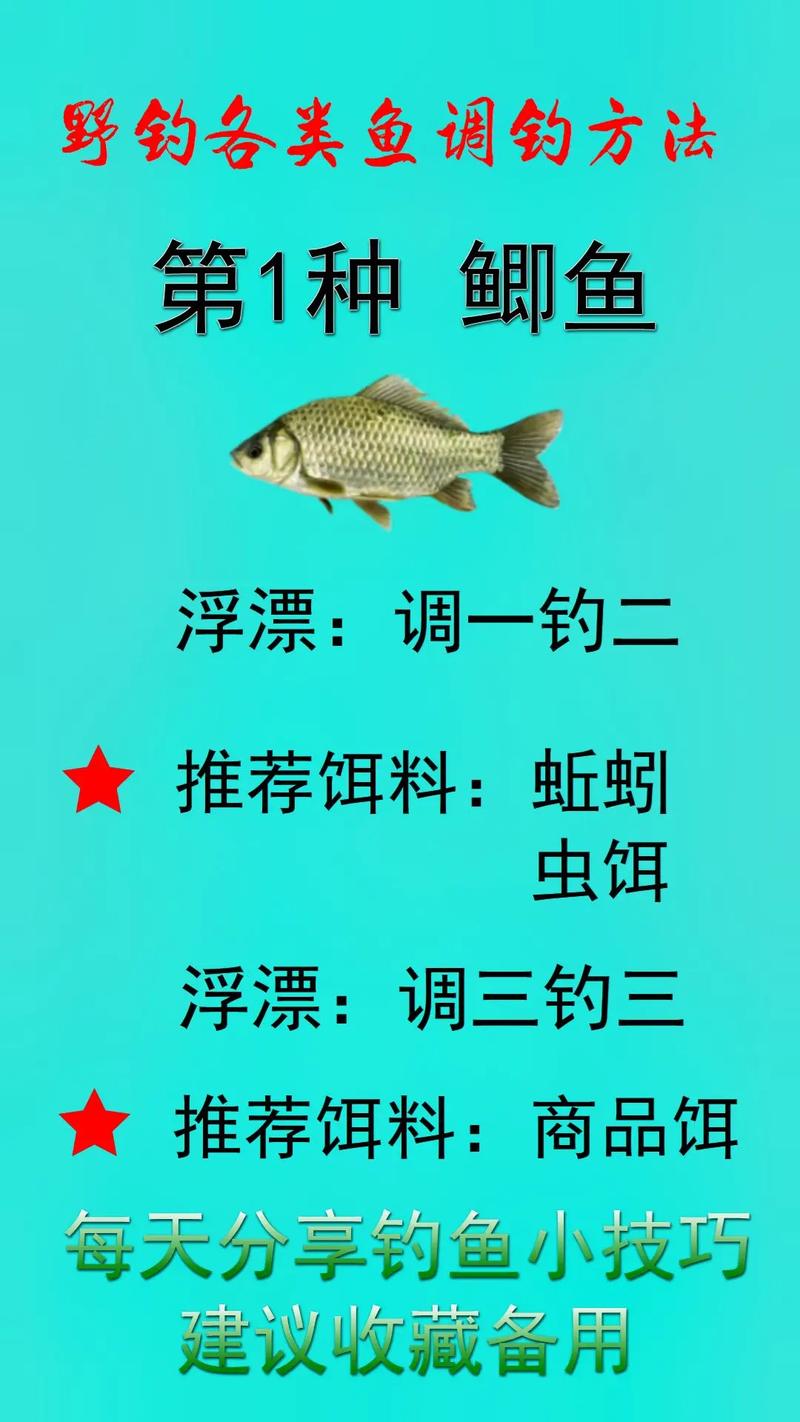 雙鉤躺底調漂方法_野釣調漂技巧_用蚯蚓釣魚調漂技巧