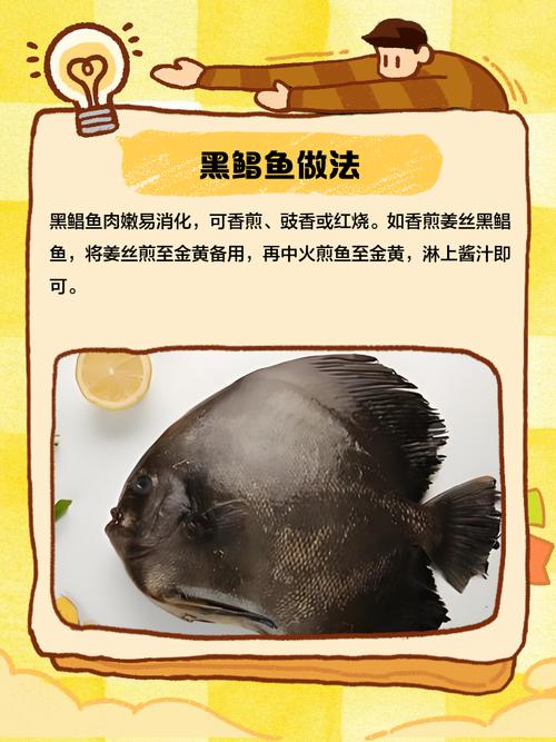黑鯧魚和白鯧魚哪個貴_白鯧魚和黑鯧魚_黑鯧魚與白鯧魚價格