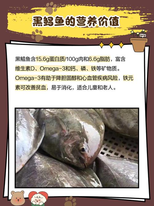 黑鯧魚與白鯧魚價格_黑鯧魚和白鯧魚哪個貴_白鯧魚和黑鯧魚