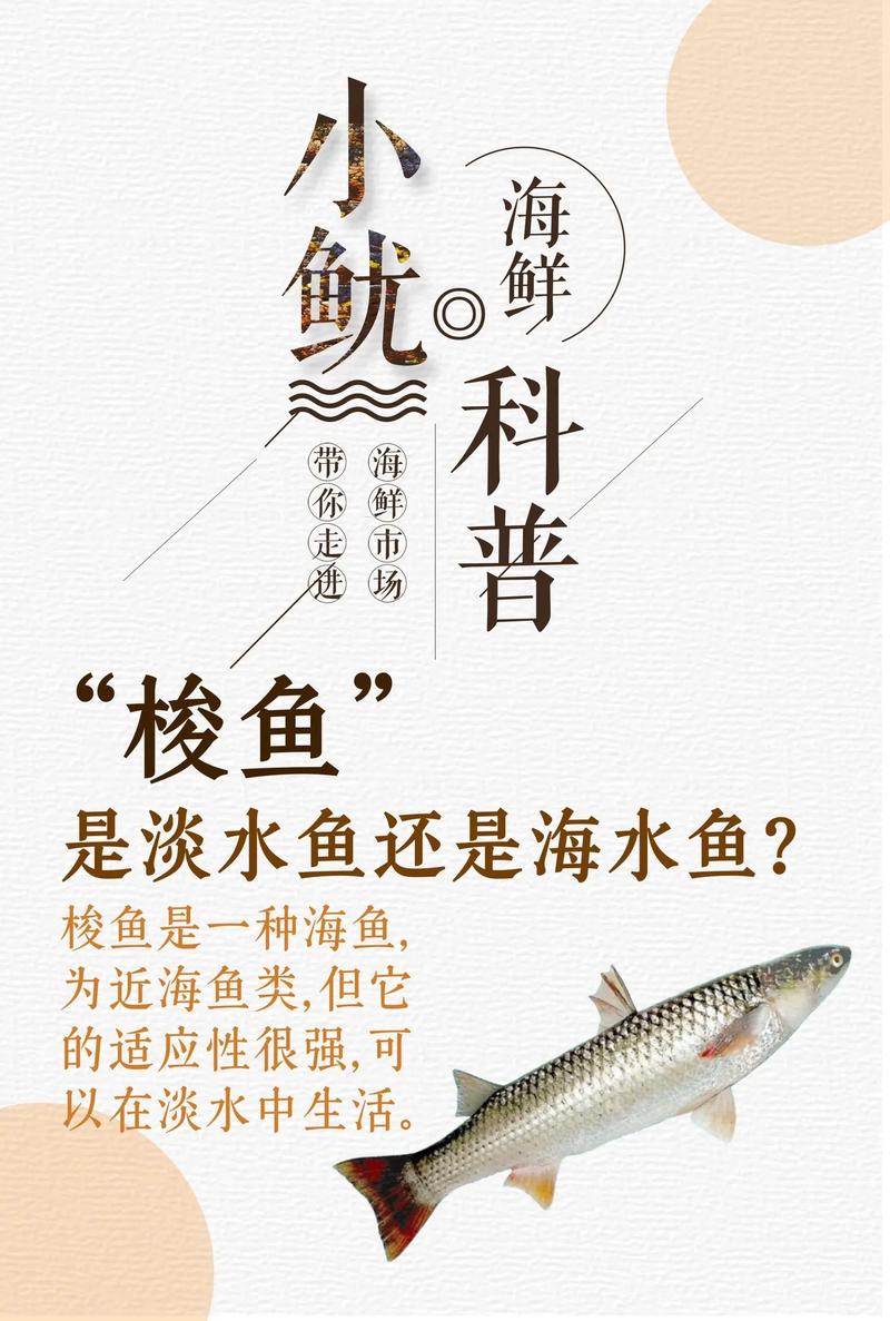 夏季梭魚釣位選擇_海釣技巧視頻_夏季海釣梭魚技巧