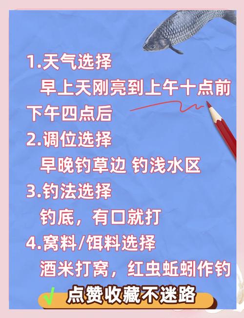 鯽魚釣法技巧野釣視頻_鯽魚做釣技巧_鯽魚臺釣野釣常用的10種簡單技巧必看