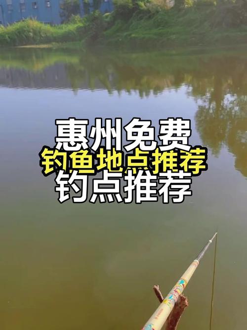 惠東釣魚_惠東平山哪里可以釣魚_惠東免費釣點