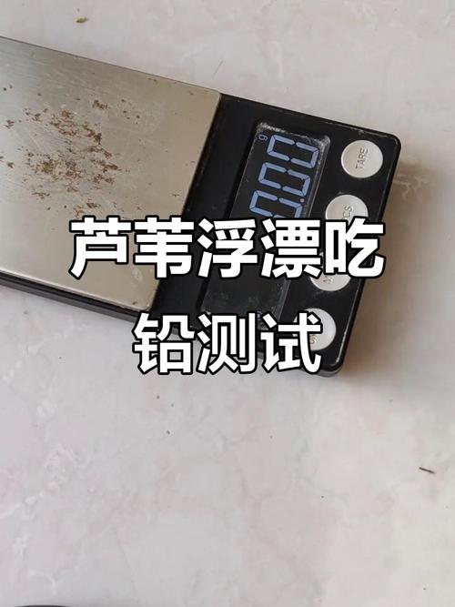 浮漂自重輕吃鉛重的漂好嗎_浮漂自重比吃鉛量大好嗎_浮漂的自重和吃鉛