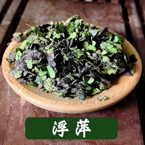 浮萍藥理研究_浮萍草浮萍草浮萍草操_浮萍藥用價值