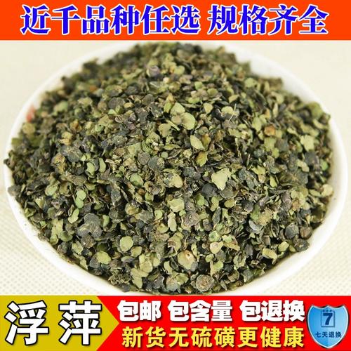 浮萍草浮萍草浮萍草操_浮萍藥理研究_浮萍藥用價值