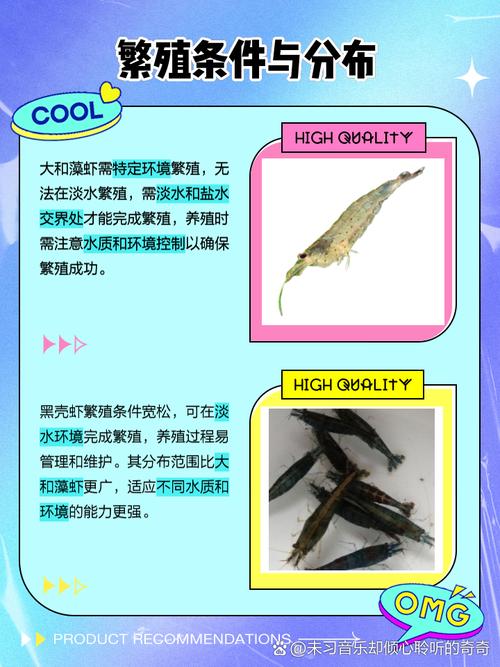 蝦食物吃黑殼還是白殼_黑殼蝦吃什么食物_吃黑殼蝦的蝦
