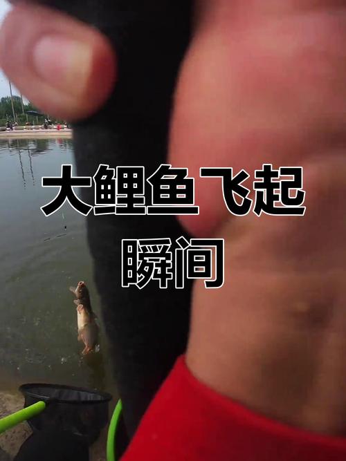 游釣中國第一季_游釣中國第6季全集_游釣中國2021第六季