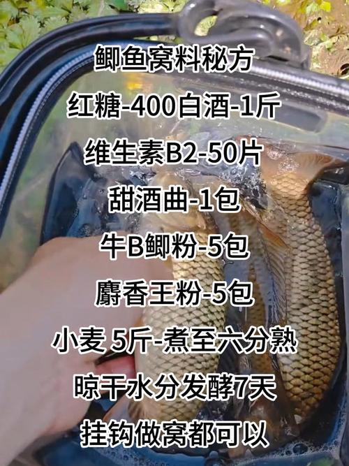 鯽魚窩料配方野釣是什么?_野釣鯽魚自制窩料配方_酒米窩料制作方法