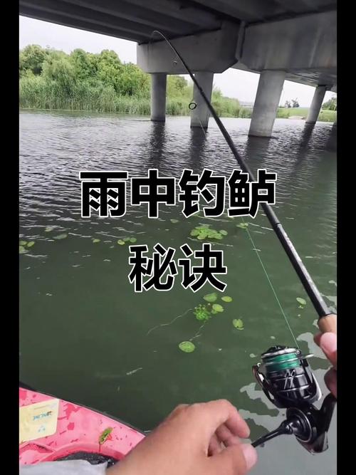 釣魚下雨好漲水野釣怎么辦_野釣下雨漲水好釣魚嗎_下雨漲水為什么野釣釣魚沒口