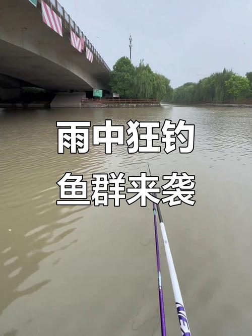 下雨漲水為什么野釣釣魚沒口_釣魚下雨好漲水野釣怎么辦_野釣下雨漲水好釣魚嗎