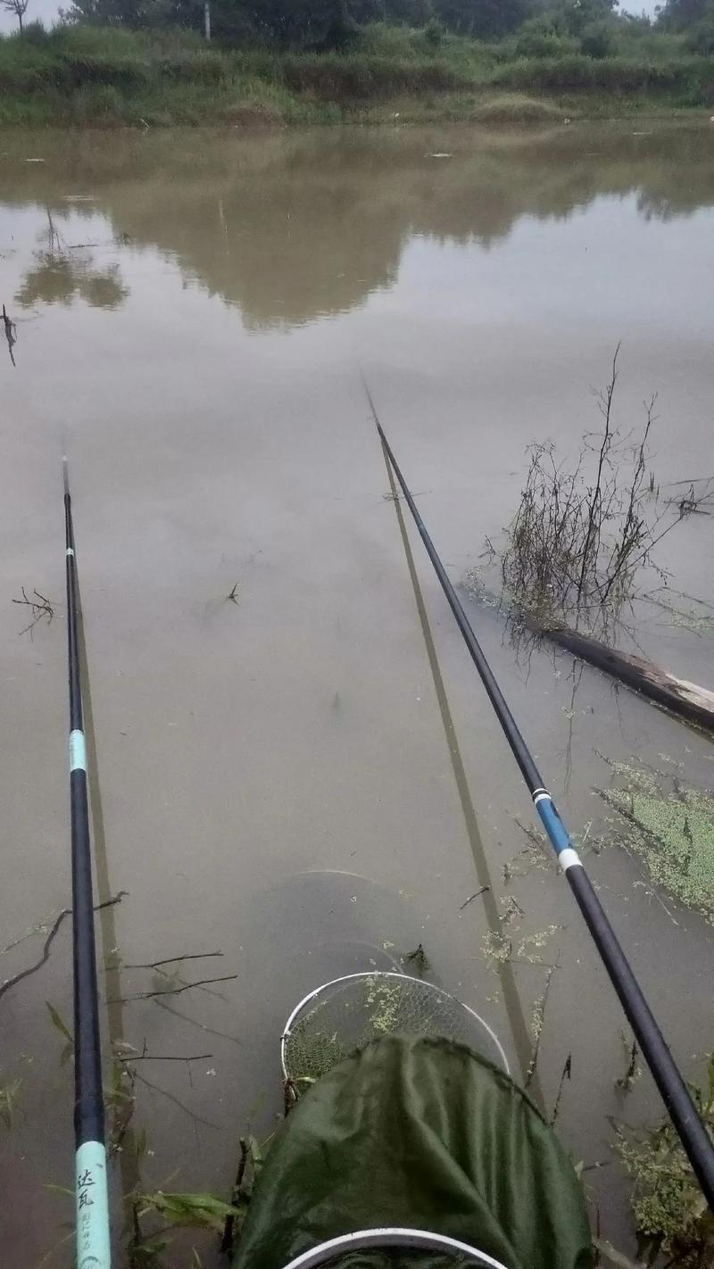 釣魚下雨好漲水野釣怎么辦_下雨漲水為什么野釣釣魚沒口_野釣下雨漲水好釣魚嗎