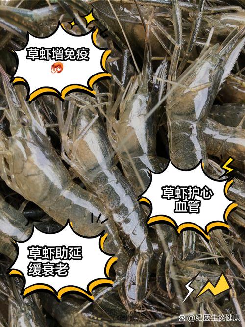 黑殼蝦是什么蝦_草蝦怎么做好吃_草蝦介紹